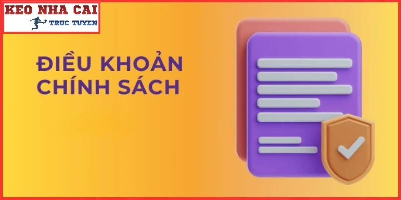 Chính sách điều khoản và những yếu tố quan trọng