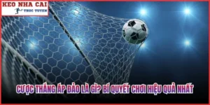 Cược Thắng Áp Đảo Là Gì