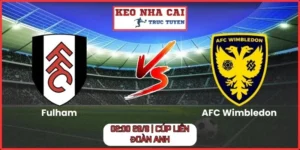 Fulham vs AFC Wimbledon