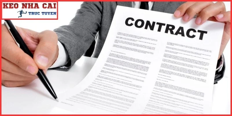 Quy định trong chính sách miễn trừ trách nhiệm là gì?