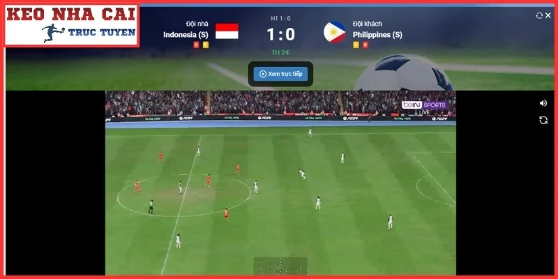 Sơ lược tính năng xem tỷ số Livescore